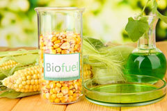 Daisy Green biofuel availability
